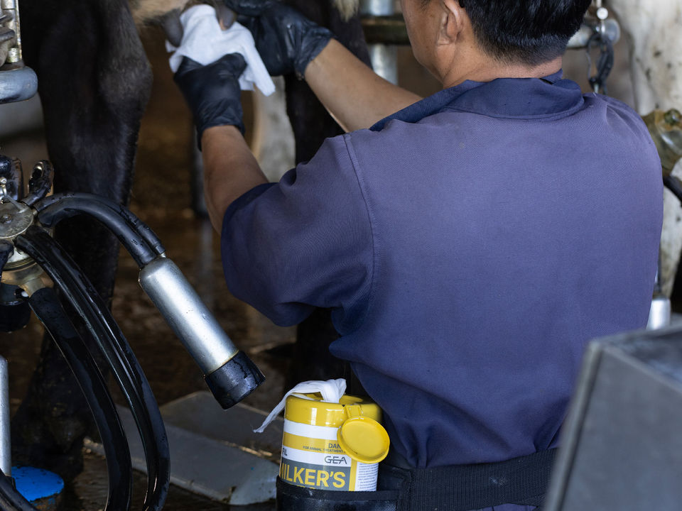 FIL 'Milker's Wipes' have hit Rural Retailers