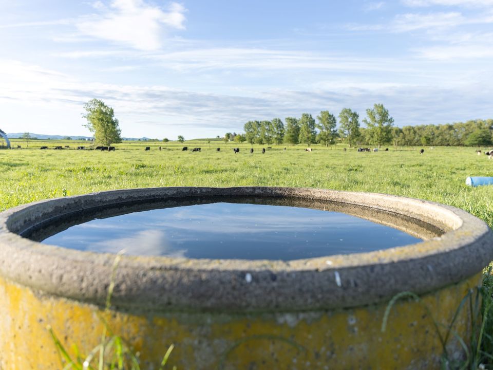 Keep your cows hydrated with clean trough water